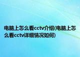 电脑上怎么看cctv介绍(电脑上怎么看cctv详细情况如何)
