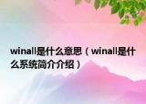 winall是什么意思（winall是什么系统简介介绍）