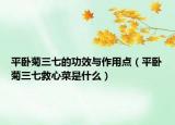 平卧菊三七的功效与作用点（平卧菊三七救心菜是什么）