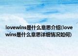 lovewins是什么意思介绍(lovewins是什么意思详细情况如何)