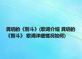 龚玥的《智斗》(歌词介绍 龚玥的《智斗》 歌词详细情况如何)