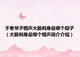 于老爷子相声大肠刺身是哪个段子（大肠刺身是哪个相声简介介绍）