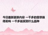 今日最新更新内容 一千多的翡翠值得买吗 一千多能买到什么品种