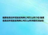 福建省森远环境发展有限公司怎么样介绍(福建省森远环境发展有限公司怎么样详细情况如何)