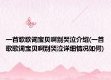 一首歌歌词宝贝啊别哭泣介绍(一首歌歌词宝贝啊别哭泣详细情况如何)
