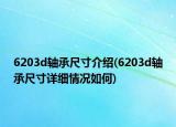 6203d轴承尺寸介绍(6203d轴承尺寸详细情况如何)