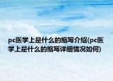 pc医学上是什么的缩写介绍(pc医学上是什么的缩写详细情况如何)