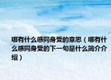 哪有什么感同身受的意思（哪有什么感同身受的下一句是什么简介介绍）