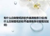 有什么自制壁纸的软件值得推荐介绍(有什么自制壁纸的软件值得推荐详细情况如何)