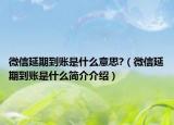 微信延期到账是什么意思?（微信延期到账是什么简介介绍）