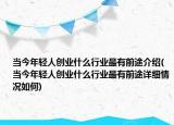 当今年轻人创业什么行业最有前途介绍(当今年轻人创业什么行业最有前途详细情况如何)