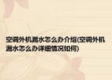 空调外机漏水怎么办介绍(空调外机漏水怎么办详细情况如何)