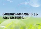 小麦胚芽的功效和作用是什么（小麦胚芽的作用是什么）