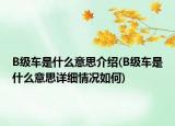 B级车是什么意思介绍(B级车是什么意思详细情况如何)