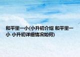 和平里一小(小升初介绍 和平里一小 小升初详细情况如何)
