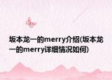 坂本龙一的merry介绍(坂本龙一的merry详细情况如何)