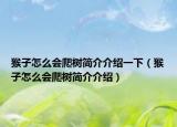 猴子怎么会爬树简介介绍一下（猴子怎么会爬树简介介绍）