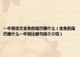一年级语文金鱼的尾巴像什么（金鱼的尾巴像什么一年级比喻句简介介绍）
