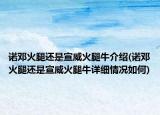 诺邓火腿还是宣威火腿牛介绍(诺邓火腿还是宣威火腿牛详细情况如何)