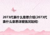 2073代表什么意思介绍(2073代表什么意思详细情况如何)