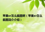 苹果xr怎么截图啊（苹果xr怎么截图简介介绍）