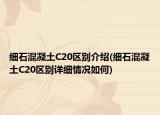细石混凝土C20区别介绍(细石混凝土C20区别详细情况如何)