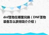 dnf圣物在哪里兑换（DNF圣物装备怎么获得简介介绍）