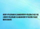 调笑令韦应物原文及翻译调笑令韦应物介绍介绍(调笑令韦应物原文及翻译调笑令韦应物介绍详细情况如何)