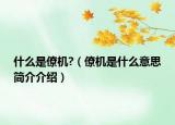 什么是僚机?（僚机是什么意思简介介绍）