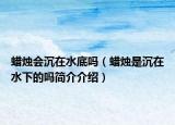 蜡烛会沉在水底吗（蜡烛是沉在水下的吗简介介绍）