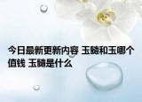 今日最新更新内容 玉髓和玉哪个值钱 玉髓是什么
