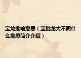 宝龙批啥意思（宝批龙大不同什么意思简介介绍）