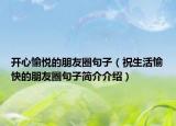 开心愉悦的朋友圈句子（祝生活愉快的朋友圈句子简介介绍）