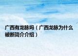 广西有龙脉吗（广西龙脉为什么被断简介介绍）