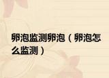 卵泡监测卵泡（卵泡怎么监测）
