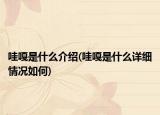 哇嘎是什么介绍(哇嘎是什么详细情况如何)
