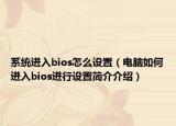 系统进入bios怎么设置（电脑如何进入bios进行设置简介介绍）