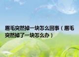 眉毛突然掉一块怎么回事（眉毛突然掉了一块怎么办）