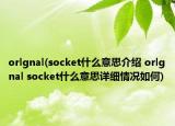 orlgnal(socket什么意思介绍 orlgnal socket什么意思详细情况如何)