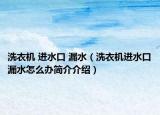 洗衣机 进水口 漏水（洗衣机进水口漏水怎么办简介介绍）