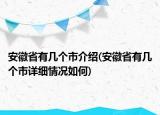 安徽省有几个市介绍(安徽省有几个市详细情况如何)