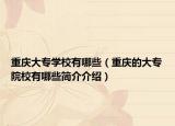 重庆大专学校有哪些（重庆的大专院校有哪些简介介绍）