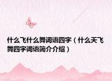 什么飞什么舞词语四字（什么天飞舞四字词语简介介绍）