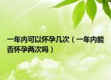 一年内可以怀孕几次（一年内能否怀孕两次吗）