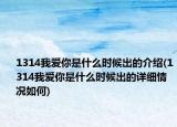 1314我爱你是什么时候出的介绍(1314我爱你是什么时候出的详细情况如何)