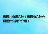 梯形共有哪几种（梯形有几种分别是什么简介介绍）