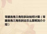等腰直角三角形斜边如何计算（等腰直角三角形斜边怎么算呢简介介绍）