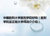 中国胜利大学胜利学院好吗（胜利学院是正规大学吗简介介绍）