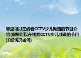 哪里可以在线看CCTV少儿频道的节目介绍(哪里可以在线看CCTV少儿频道的节目详细情况如何)