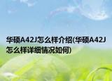 华硕A42J怎么样介绍(华硕A42J怎么样详细情况如何)